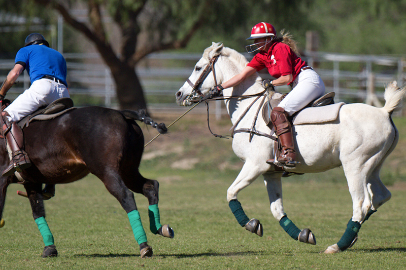 polo